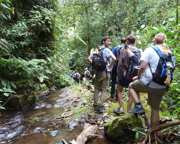 Students on a field trip to ecuador crossing a small stream of water