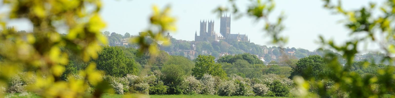 Lincoln Cathedral seen through trees