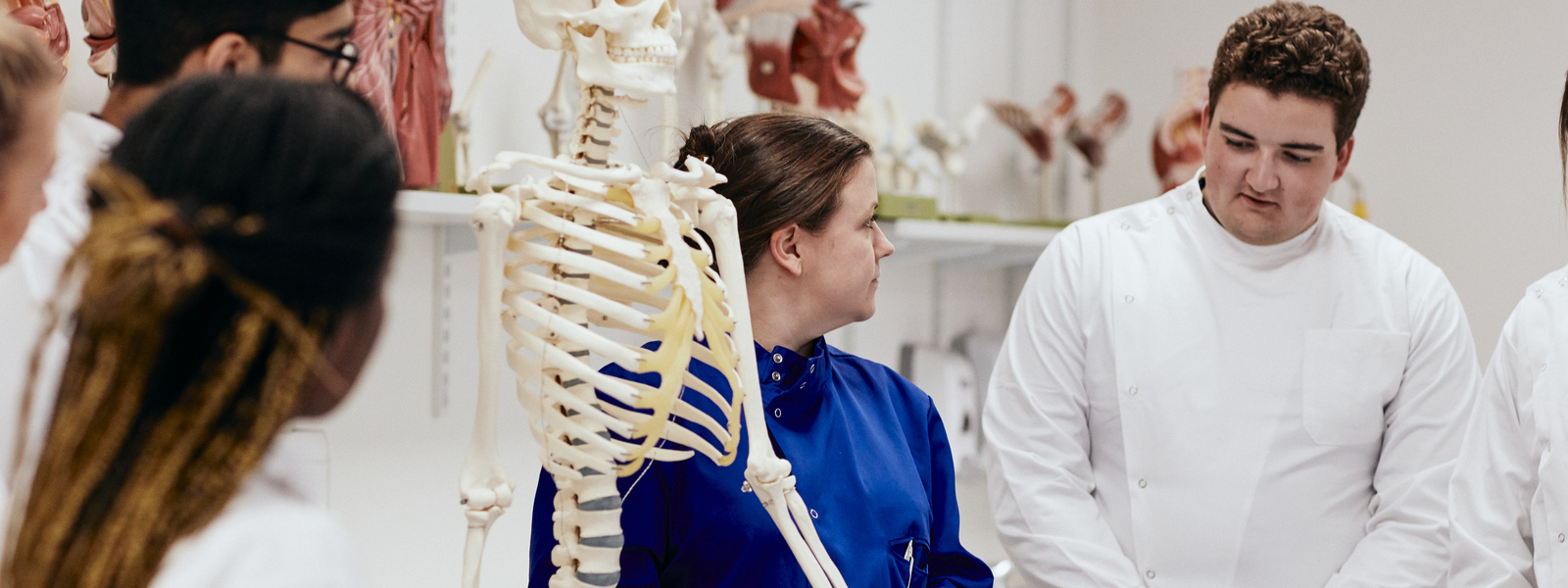 Medical students interacting with a full-size anatomical skeleton.