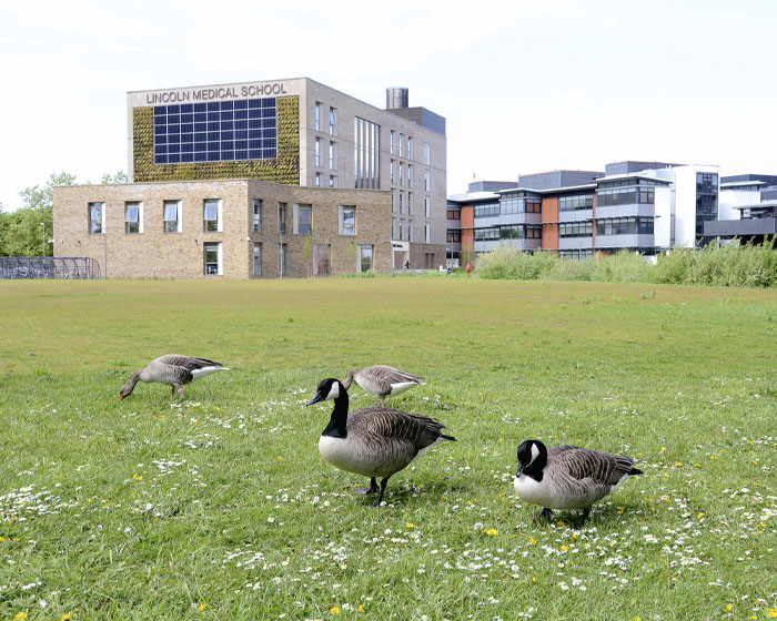 The Lincoln Medical School building with ducks on the grass in the foreground