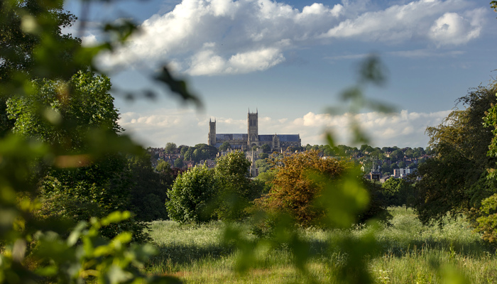 A view of Lincoln Cathedral through trees