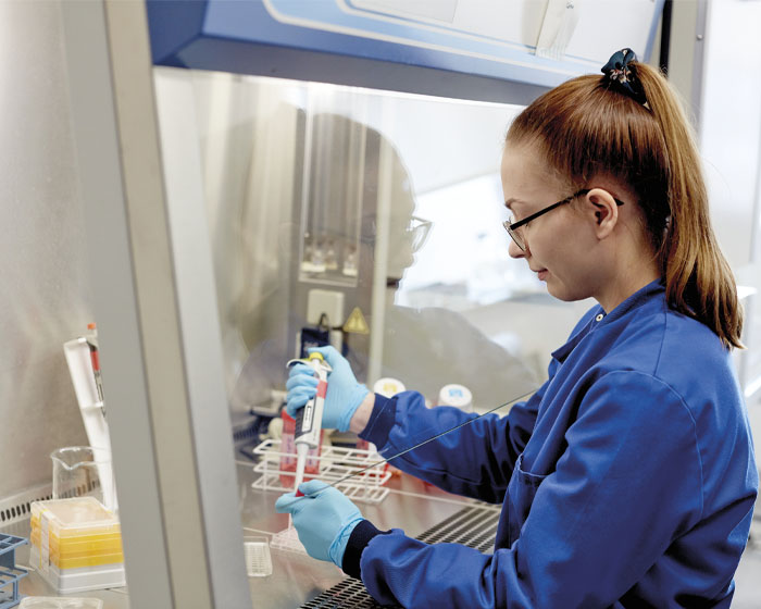 A student working on an experiment in a science lab