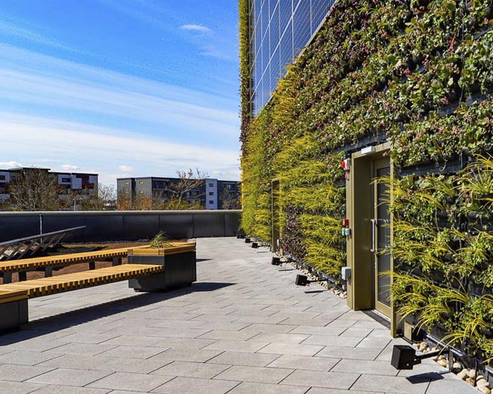 The living wall on the side of the Lincoln Medical School Building