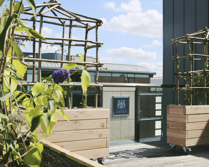 The urban bee garden on the University of Lincoln campus