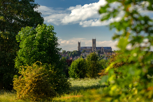 Lincoln Cathedral in the distance with trees in front