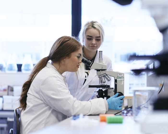 A student looks through a microscope while another student looks on