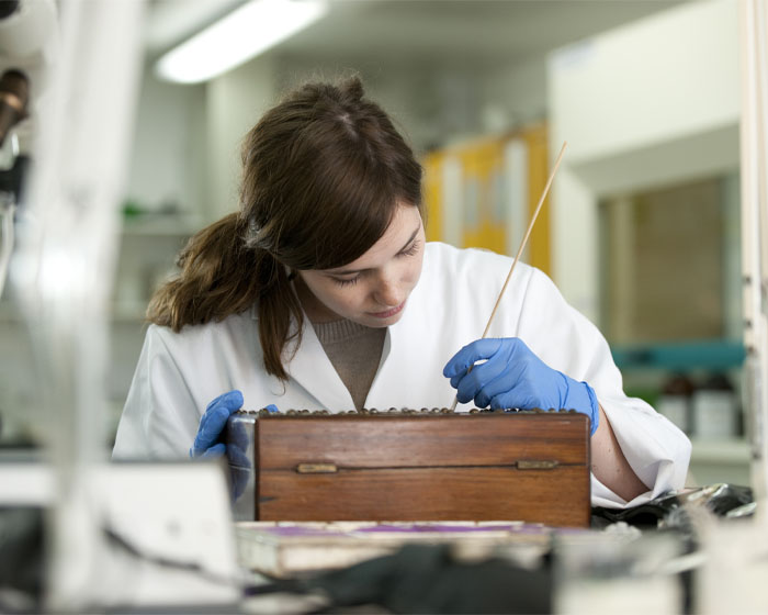 A student carrying out conservation work in a studio