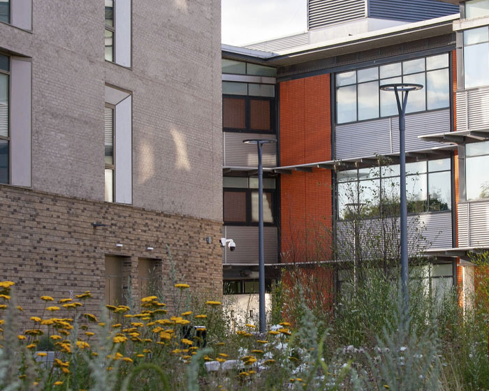 Exterior shot of the accommodation buildings on campus