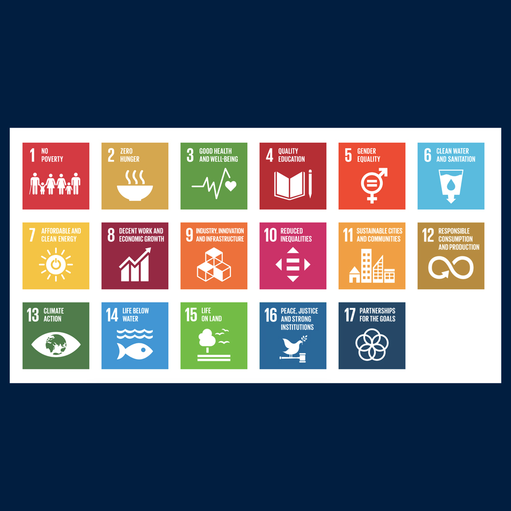 UN Sustainability Goals incons