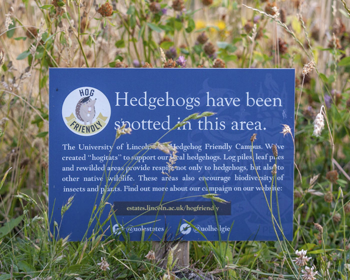 A hedgehog environmental sign