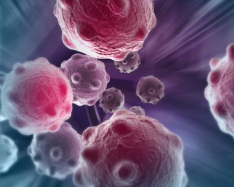 Support Our Research Spotlight