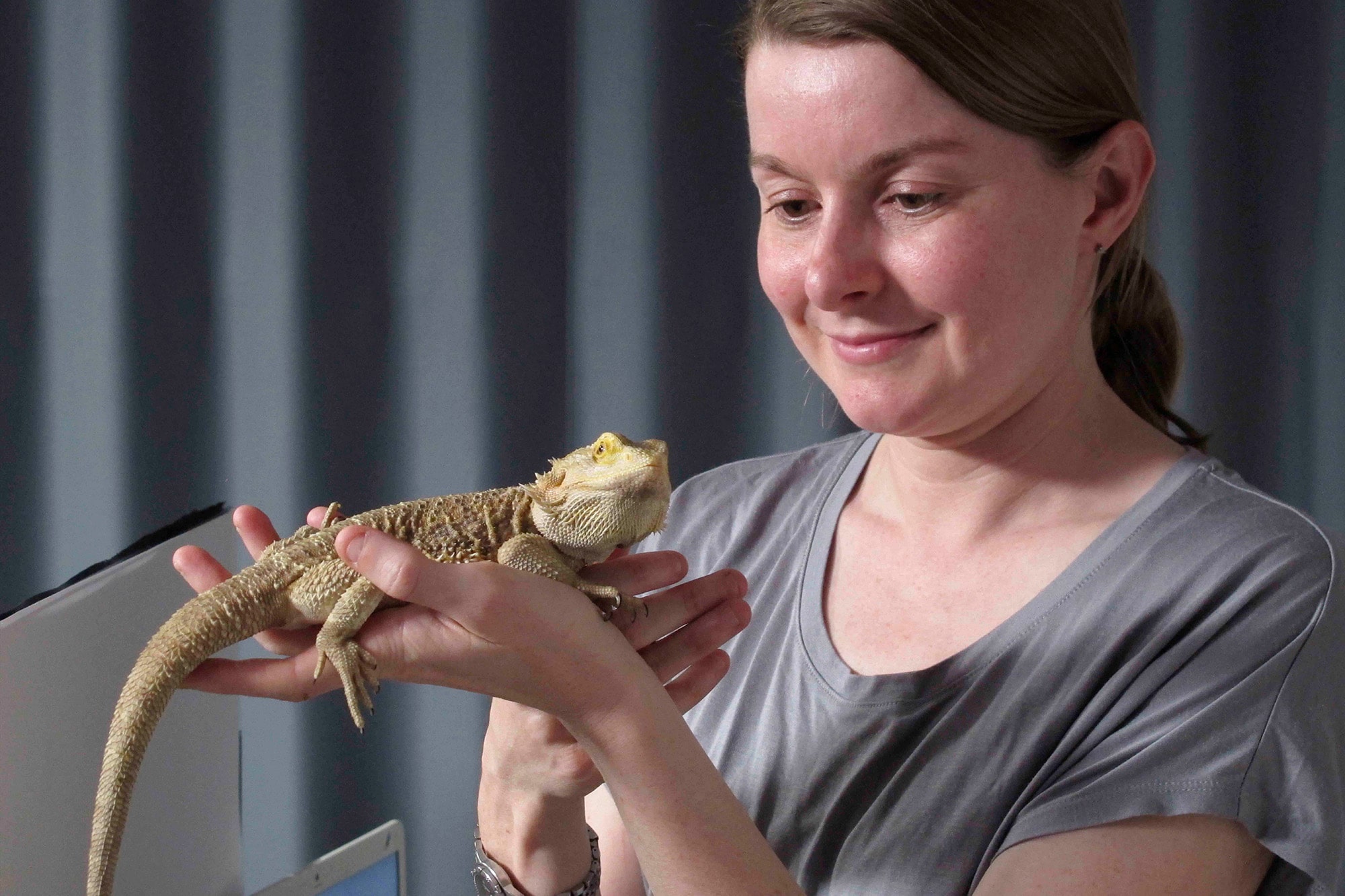 Woman holding bearded dragon in hand