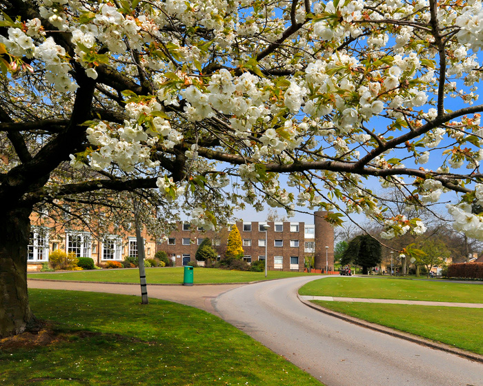 The grounds of Riseholme Park