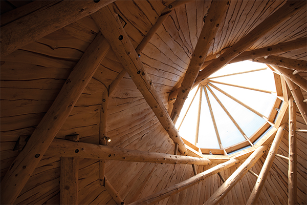 A wooden roof spiralling up