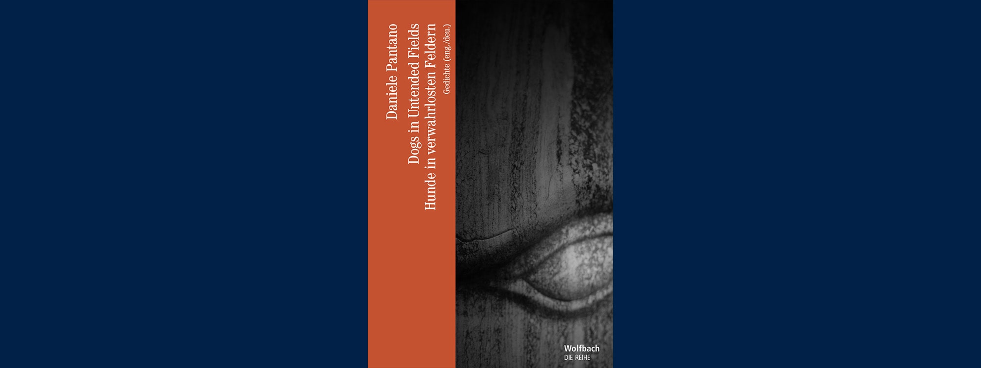 A book cover for Dogs in Untended Fields