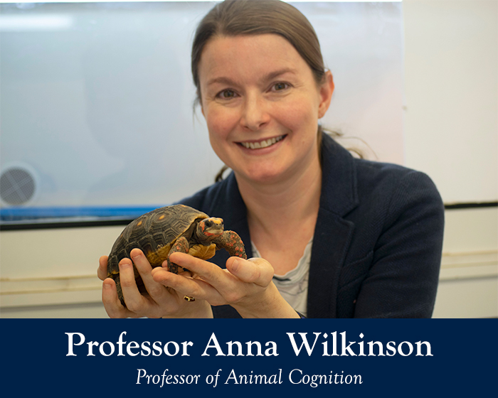Image of Professor Anna Wilkinson