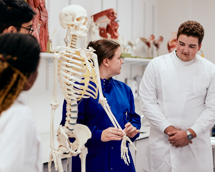 An academic in a blue lab coat holding the wrist of a human skeleton model, while students in white lab coats watch