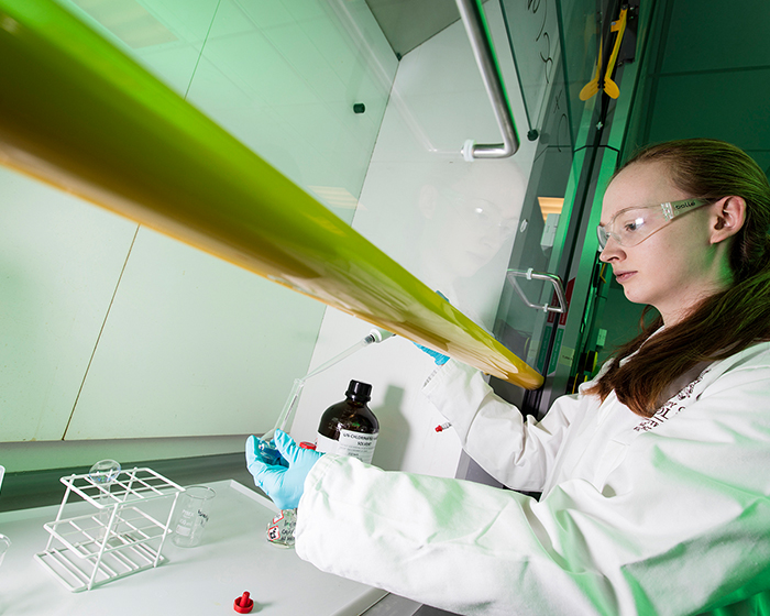 Student conducting an experiment