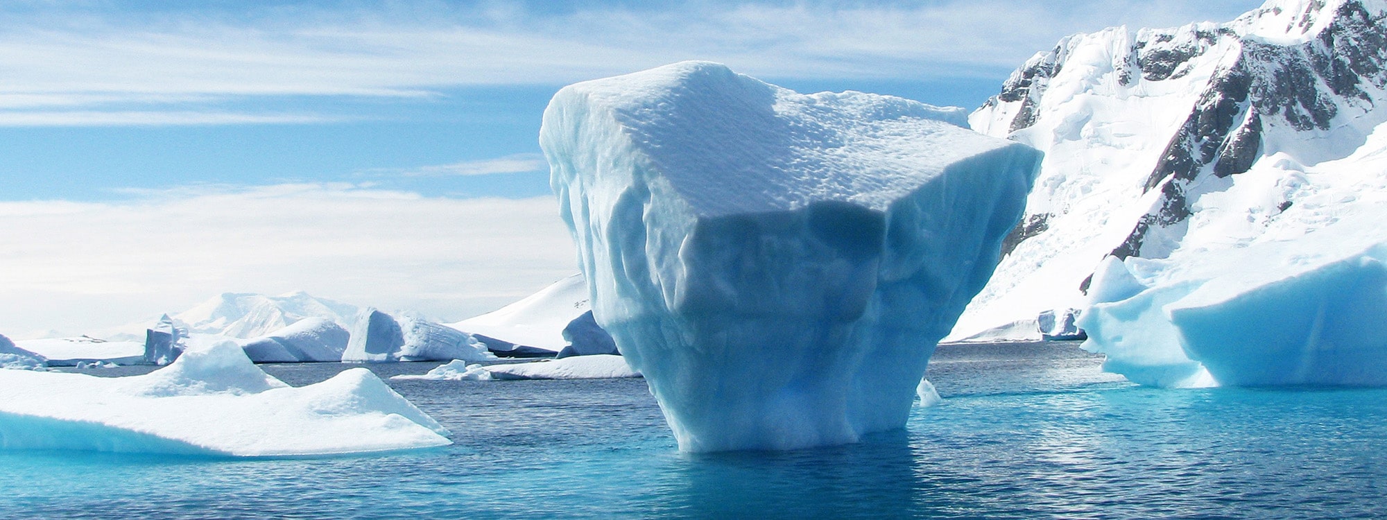 Climate Change Banner