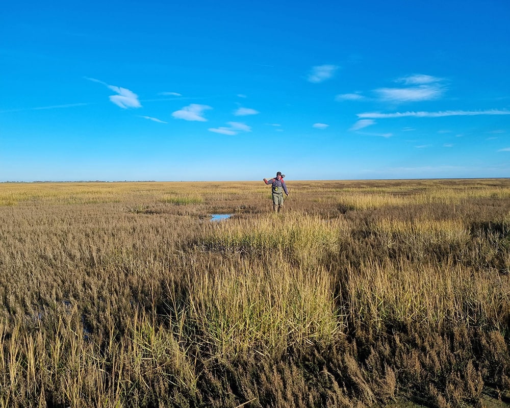 Field with a person stood in the distance, and blue sky above.