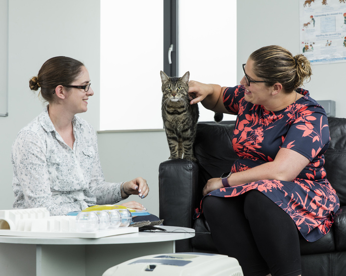 Cat and owner in the Behavioural Clinic