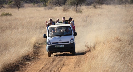 Game Drives Spotlight