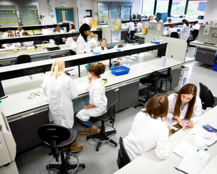 Students working in the lab