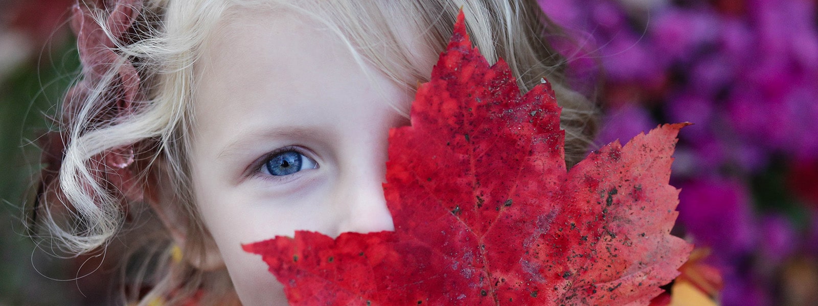 Young girl holding a large red leaf in front of her face