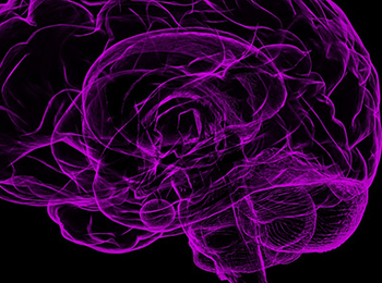 Purple and black anatomical image of a human brain. 