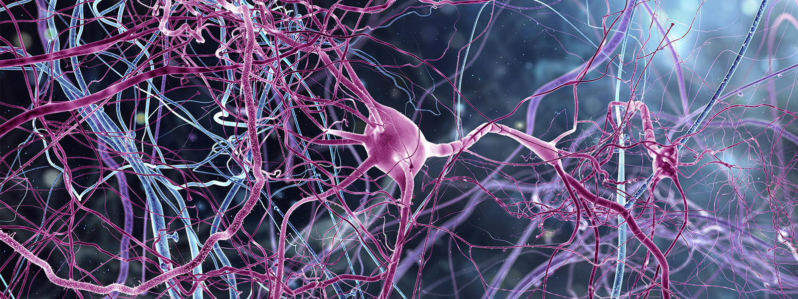 Слои клеток головного мозга. Нейроны мозга. Нервные клетки головного мозга. Нервы под микроскопом. Мозг человека Нейроны.