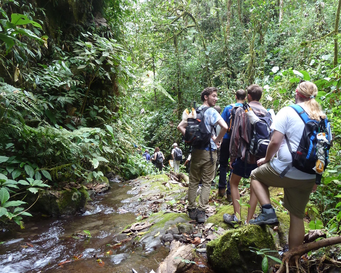 Students taking part in a field trip to the cloud forests of Ecuador