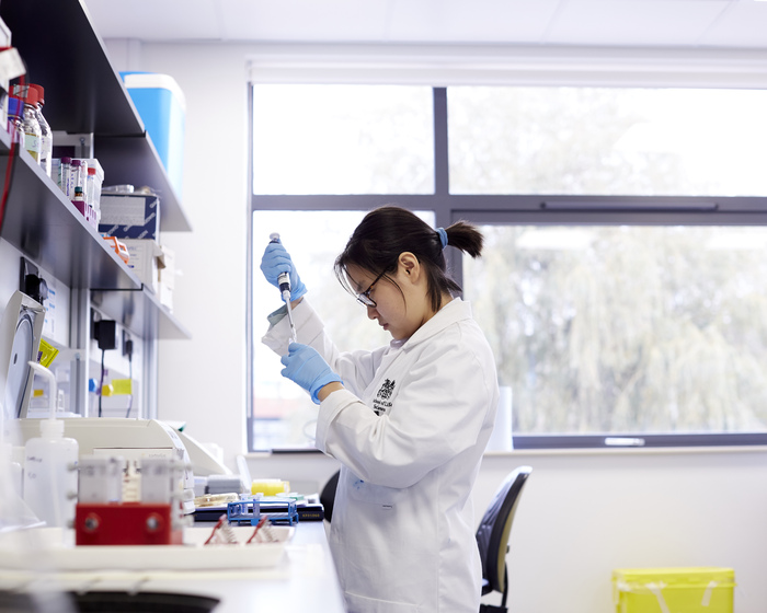 A research student working in the lab