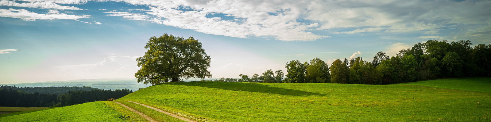 The countryside