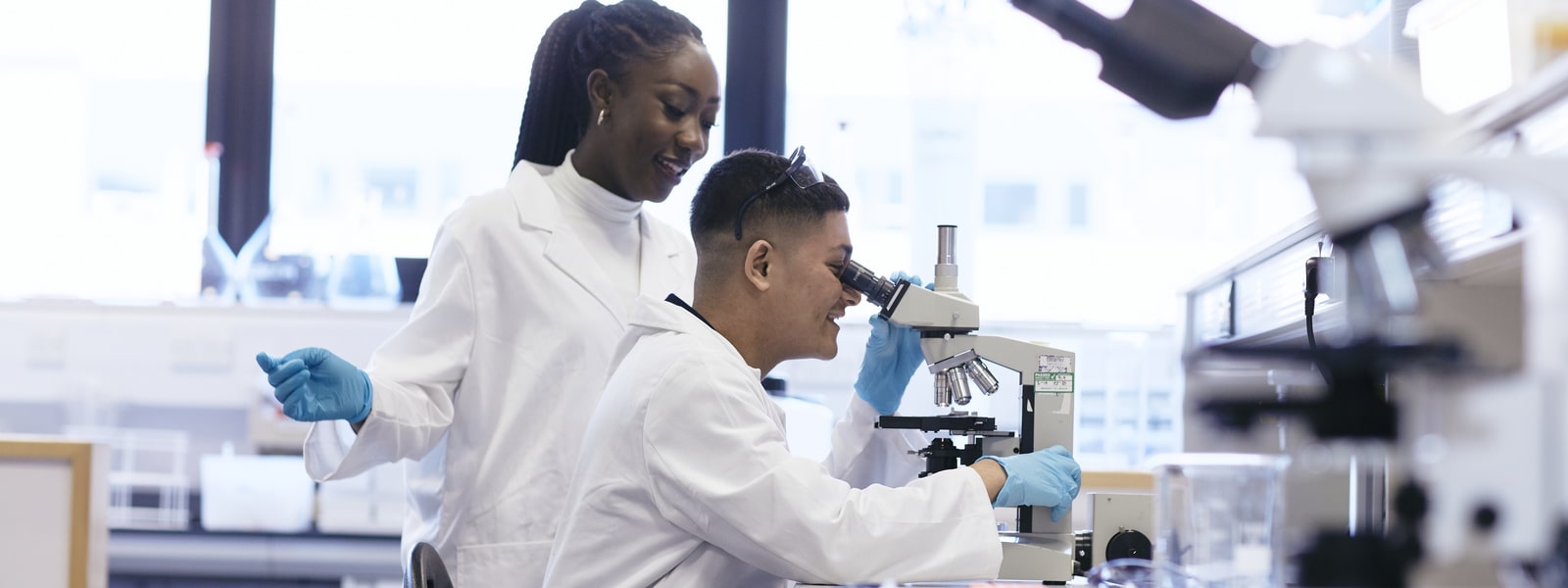 Students working in the Joseph Banks Laboratories