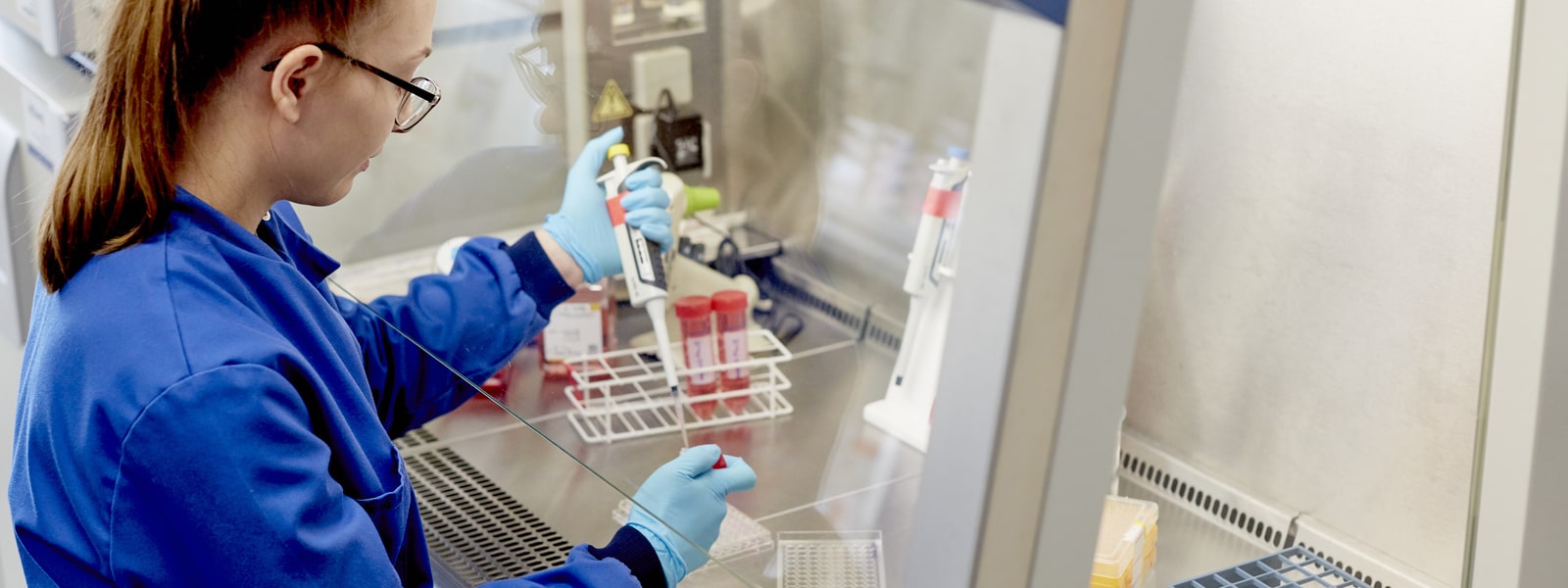 Student working in the Joseph Banks Laboratories