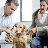 Clinical Animal Behaviour | MSc | University of Lincoln