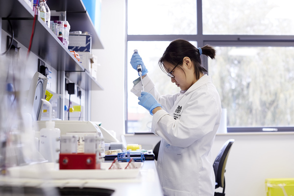 A student undertaking lab work