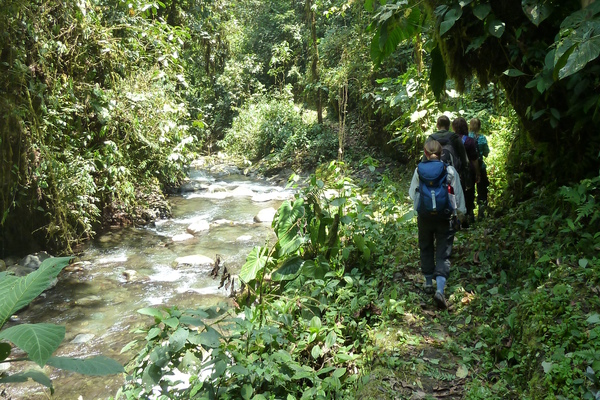 Students exploring on a field trip to Ecuador