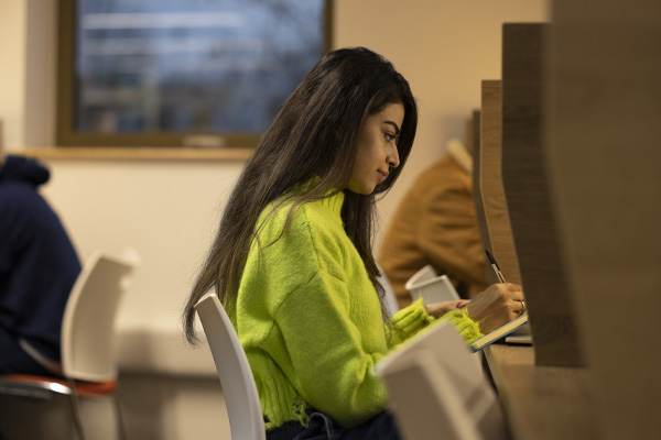 A student working on a computer