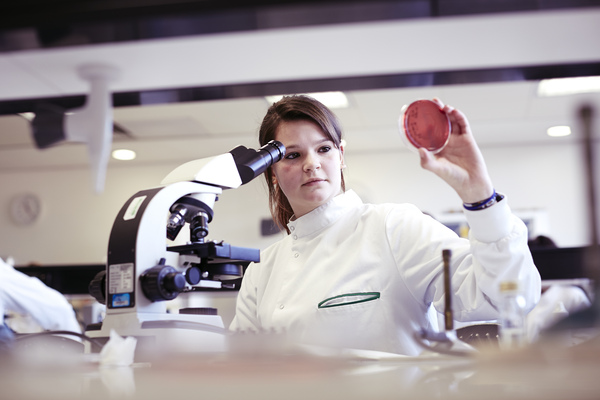 A student working in a lab examining a sample