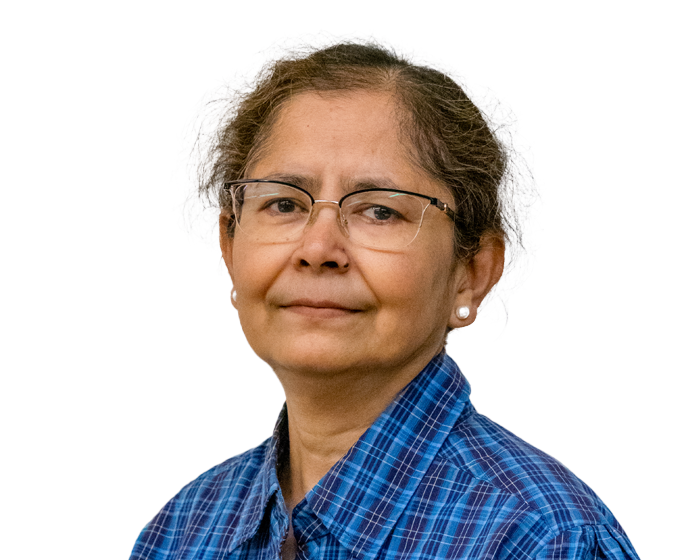 Headshot of Professor Shrabani Saha