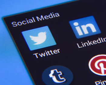Smartphone screen displaying twitter icon