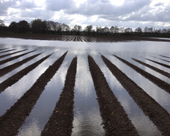 A waterlogged ploughed field