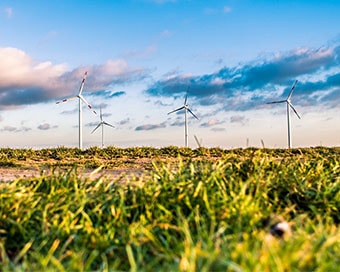 A wind farm