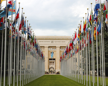 The United Nations building with flags of the world