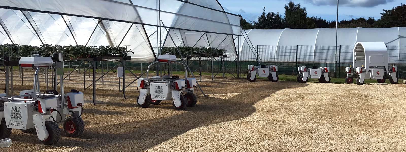 Fleet of Thorvald robots outside a greenhouse