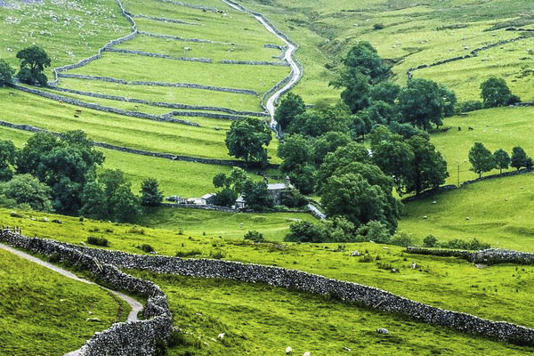 Countryside with trees and stone walls