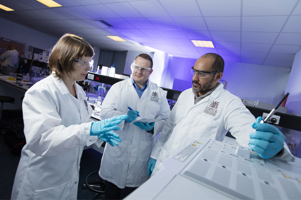 A group of scientists working in an NCFM lab