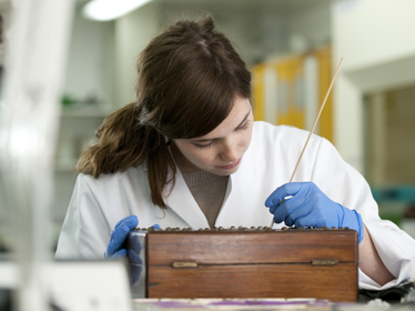 Student working on a conservation project