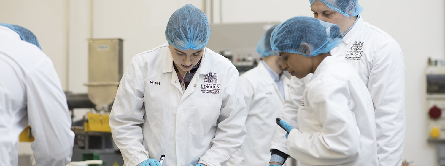 A team working together in a factory setting